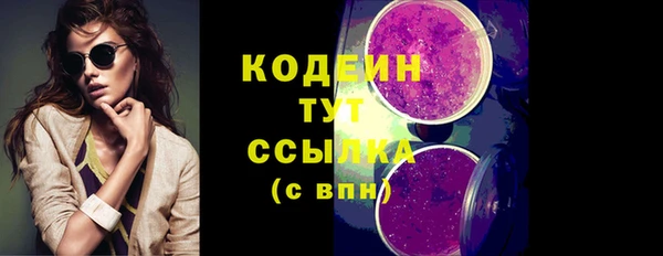 соль ск Арсеньев